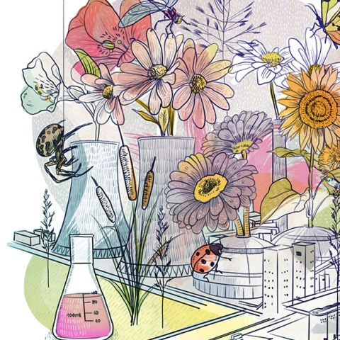 Illustration: Carina Crenshaw
