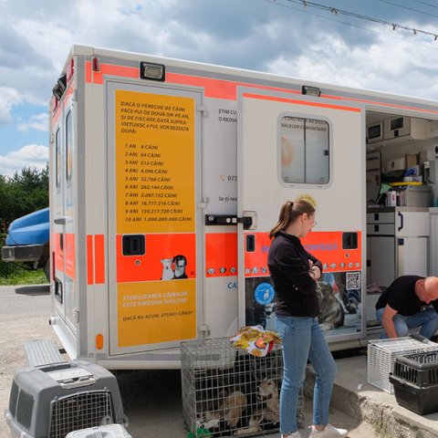Die Tierhilfe Hoffnung ist rund um die Smeura mit sechs umgebauten Rettungswagen unterwegs, in denen Bürger:innen ihre Hunde kastrieren lassen können.
